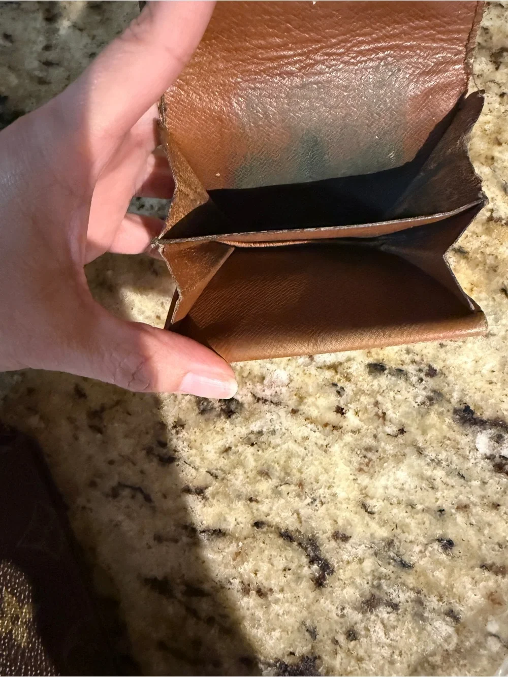 Louis Vuitton Monogram Canvas Coin Pouch in Brown and Tan